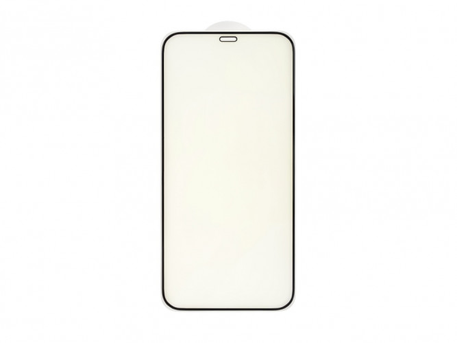 Защитное стекло 6.1" для iPhone 12/12 Pro (черный) (VIXION) Anti Blue