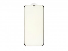 Защитное стекло 6.1" для iPhone 12/12 Pro (черный) (VIXION) Anti Blue