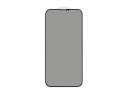 Защитное стекло 6.1" для iPhone 12/12 Pro (черный) (VIXION) 3D PRIVACY